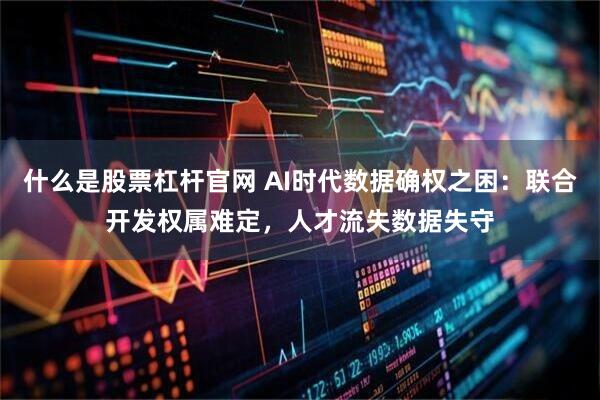 什么是股票杠杆官网 AI时代数据确权之困：联合开发权属难定，人才流失数据失守