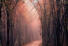 168股票配资:网上怎么股票开户流程-特朗普家族加密币首秀受挫 其本人仍大赚36亿美元